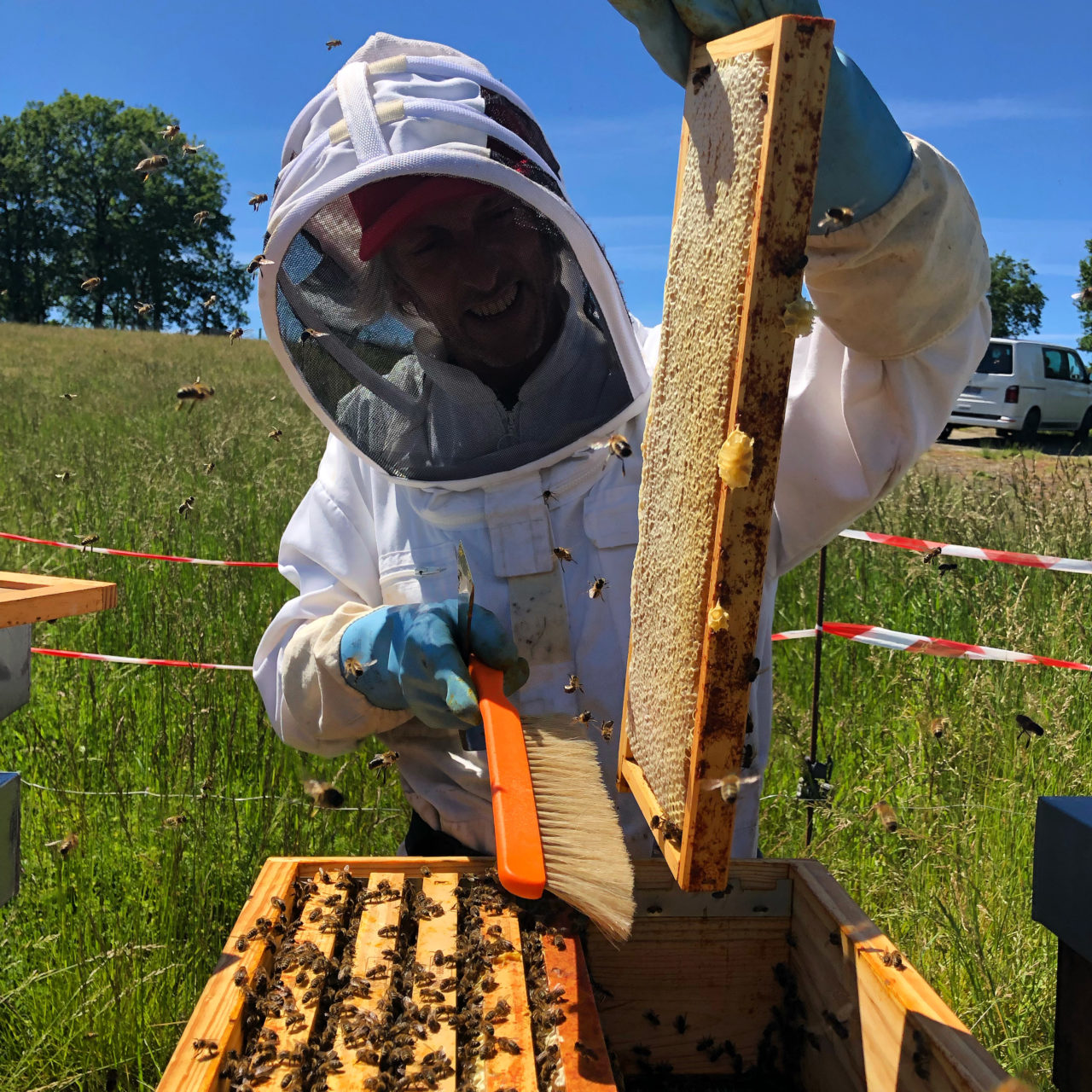 La récolte de miel au Pays basque - de la ruche au pot ! - Abeilles & Cie